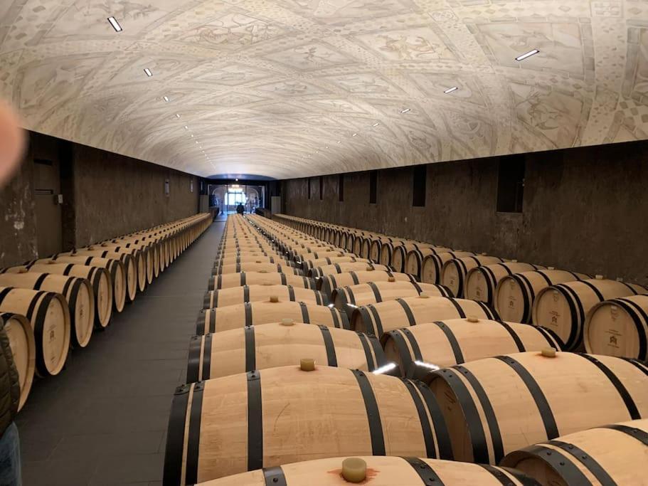 Studio Confortable Aux Portes De Bordeaux Et Medoc Ludon-Medoc ภายนอก รูปภาพ